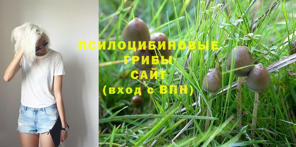 соль ск Абаза
