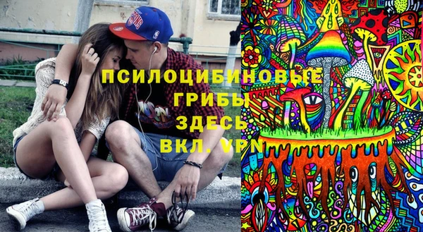 соль ск Абаза