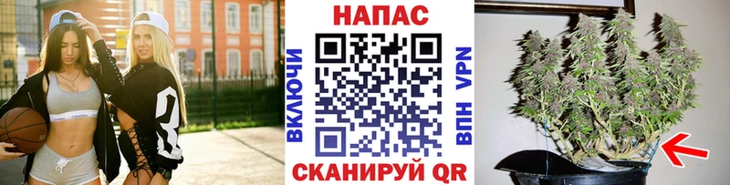 Бошки марихуана VHQ Холмск